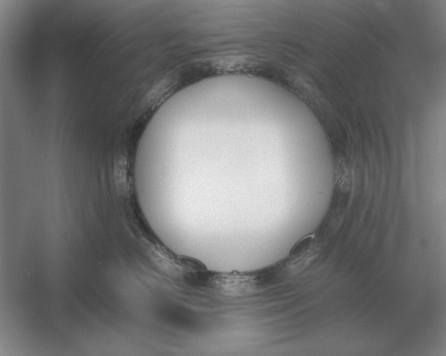 X0000054430670200508192125