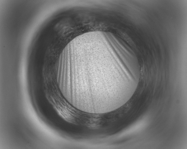 X0000054430671200508192125