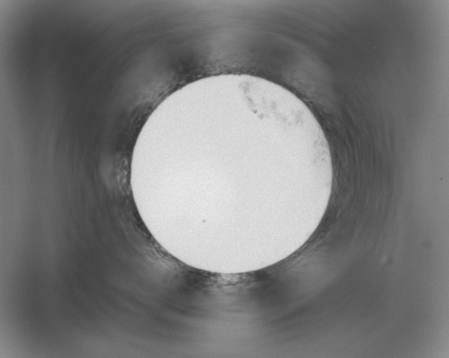 X0000054430672200508192125