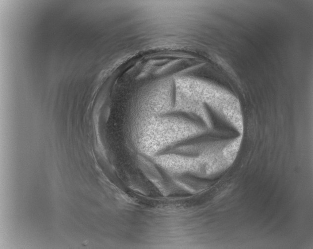 X0000054430673200508192124