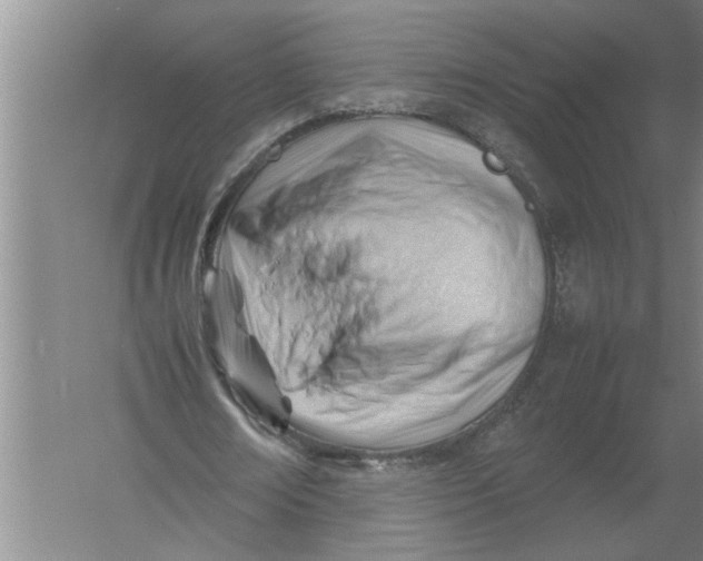 X0000054430674200508192124