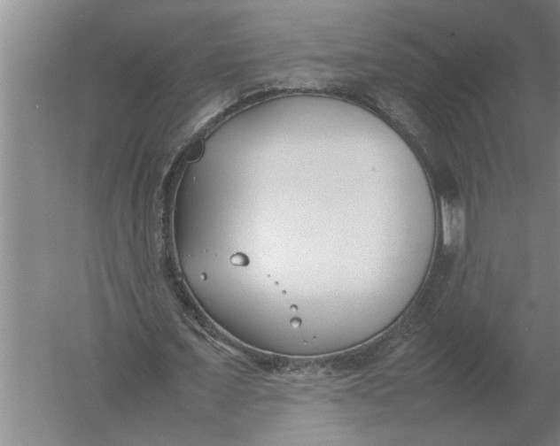 X0000054430675200508192124