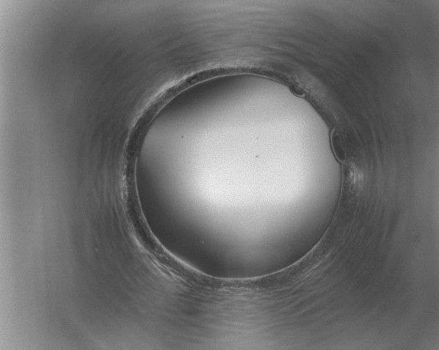 X0000054430676200508192124