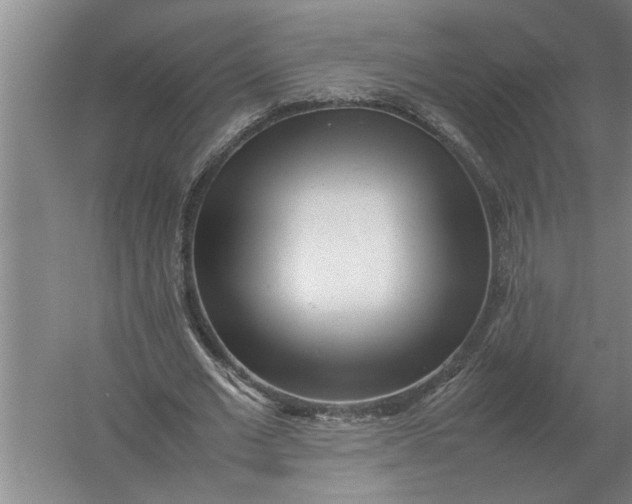 X0000054430677200508192124