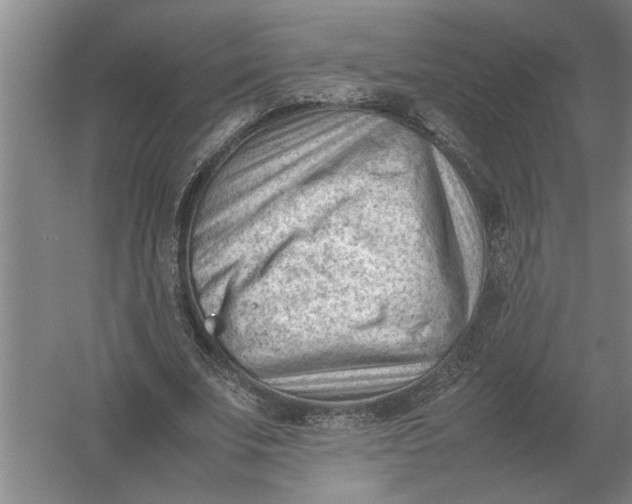 X0000054430679200508192124