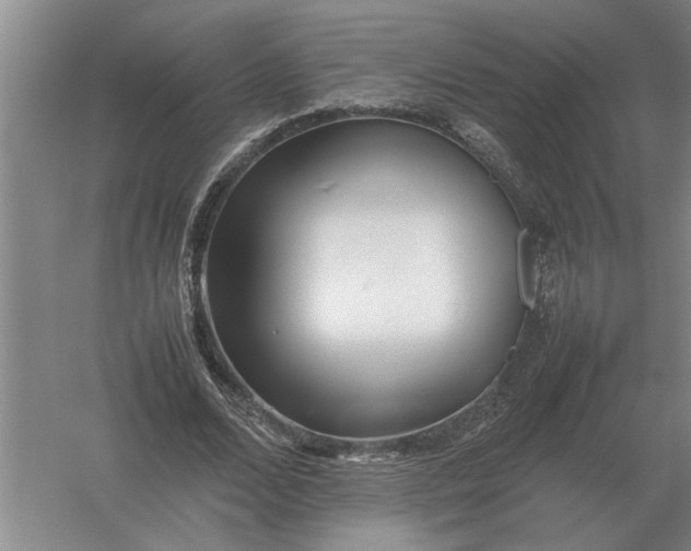 X0000054430680200508192124