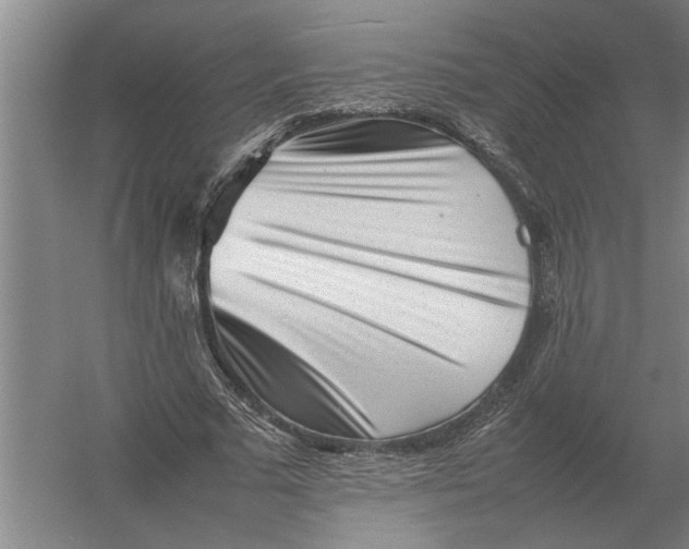 X0000054430681200508192124