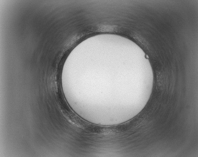 X0000054430682200508192124