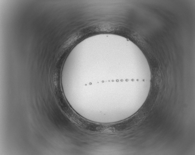 X0000054430683200508192124