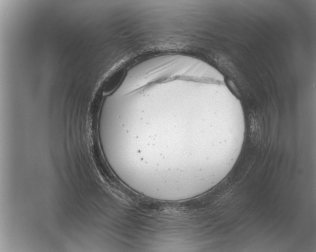 X0000054430684200508192124