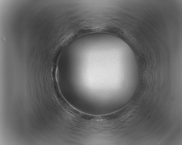 X0000054430689200508192124