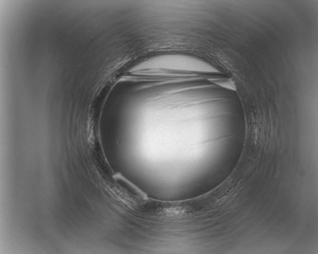 X0000054430692200508192124