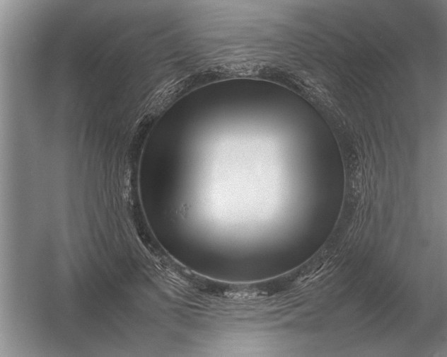 X0000054430693200508192124