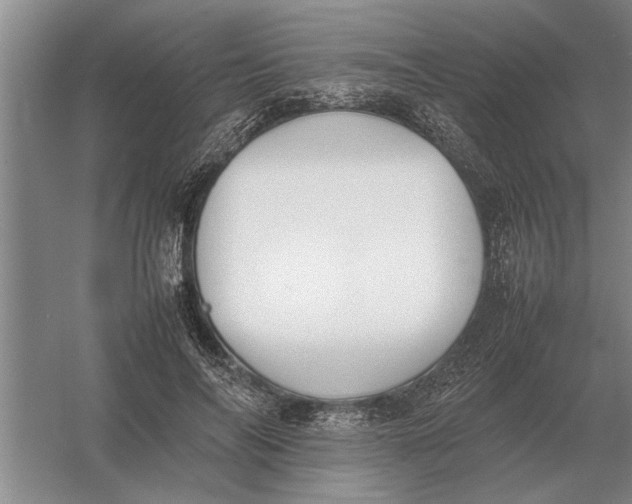 X0000054430694200508192124