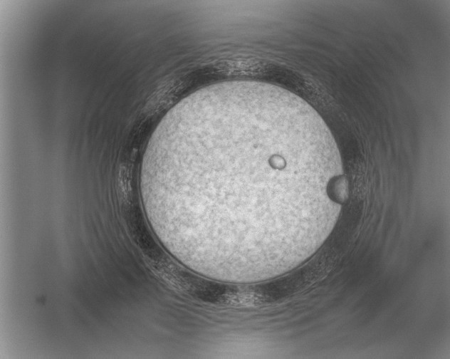 X0000054430695200508192124