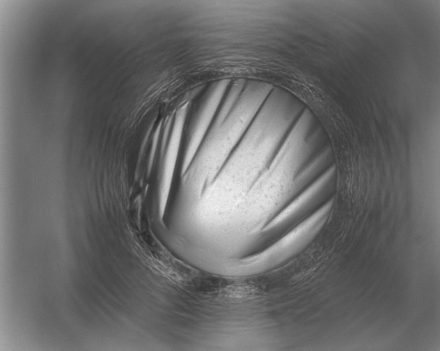 X0000054430696200508192124