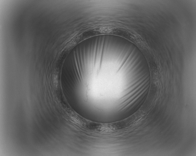 X0000054430697200508192124