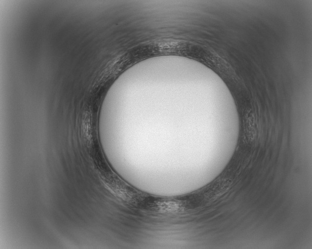 X0000054430698200508192124