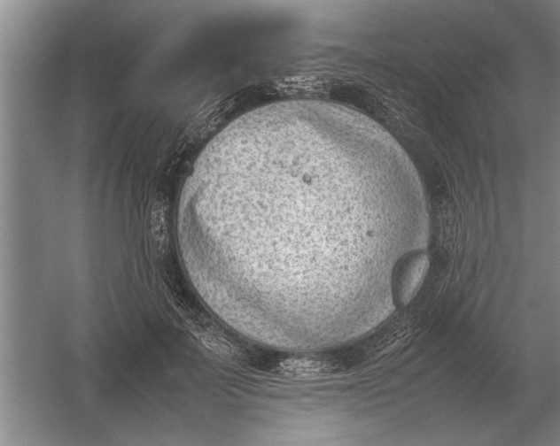 X0000054430699200508192124