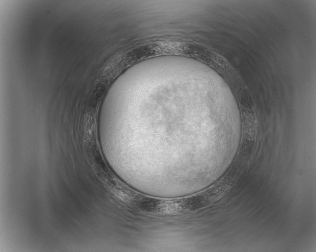 X0000054430701200508192124