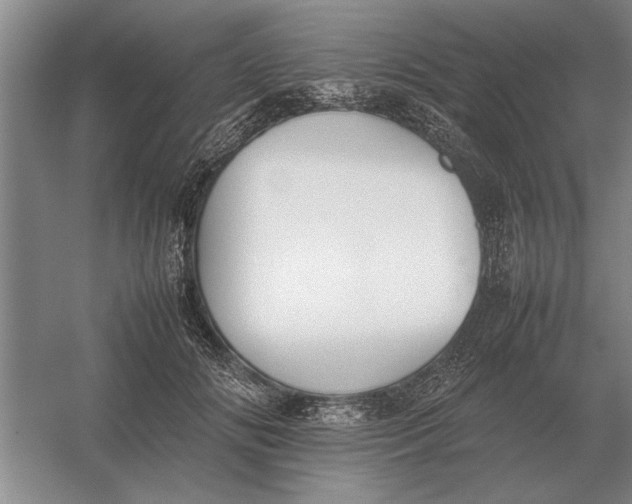 X0000054430702200508192124