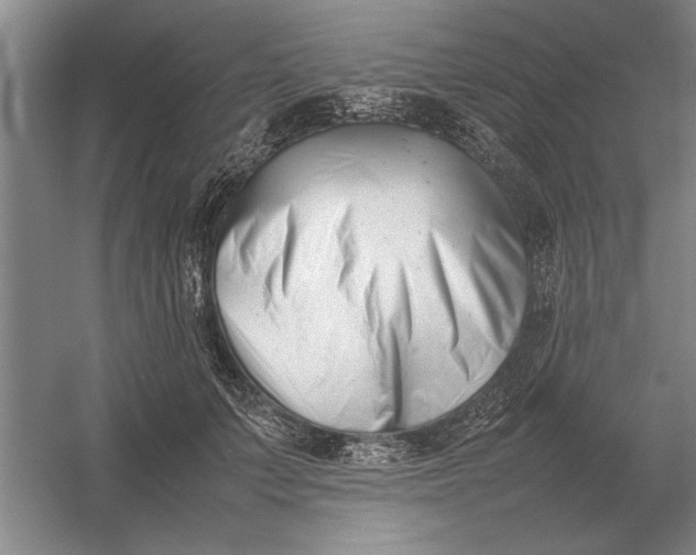 X0000054430703200508192124