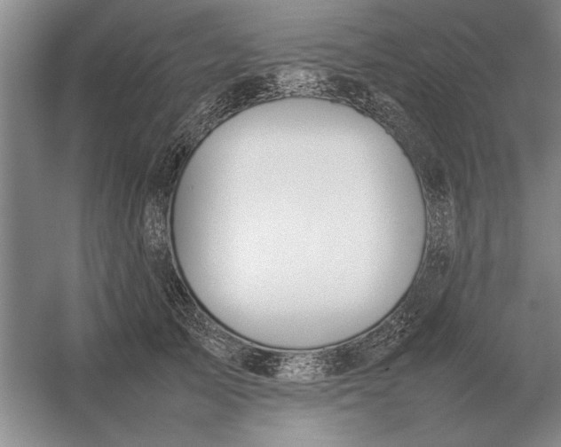 X0000054430705200508192124