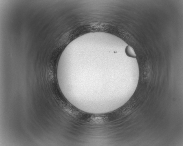 X0000054430706200508192124