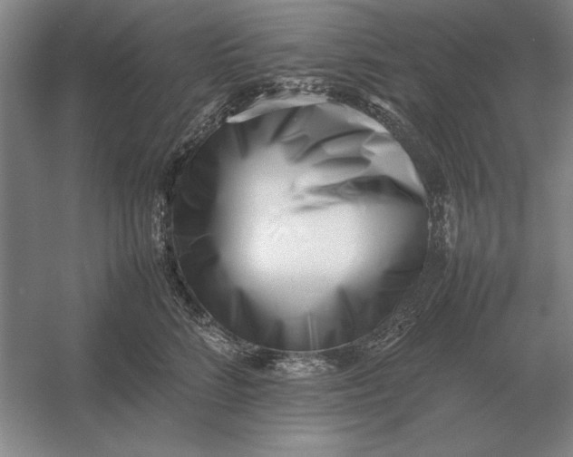 X0000054430712200508192124