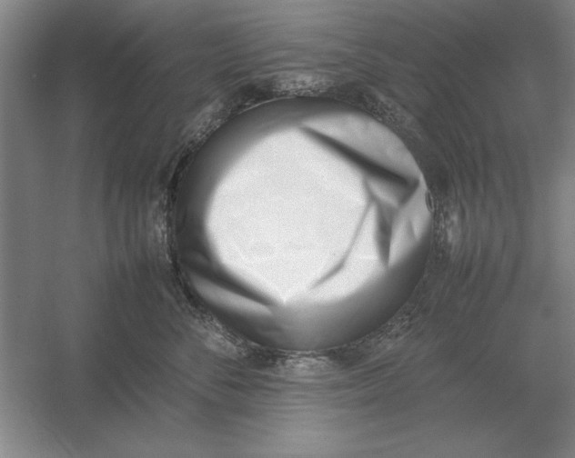 X0000054430716200508192124