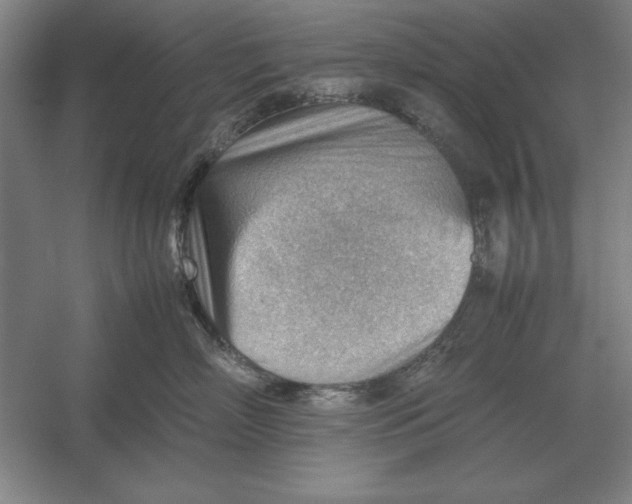 X0000054430718200508192123