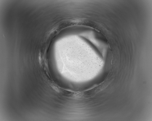 X0000054430720200508192123