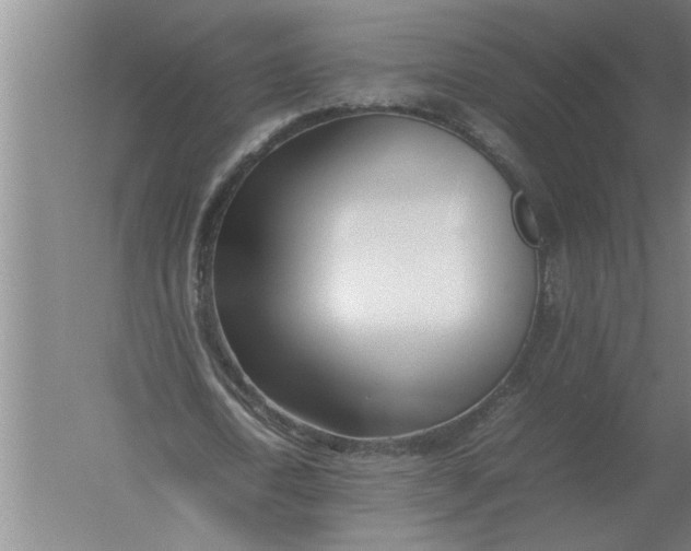 X0000054430722200508192123