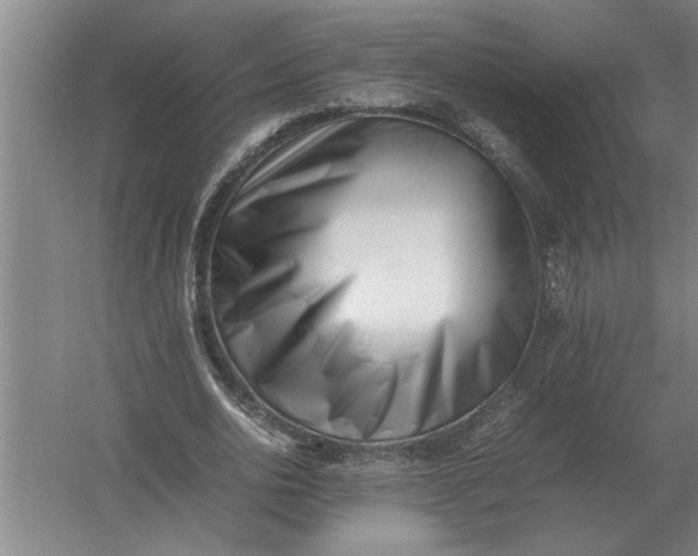 X0000054430726200508192123