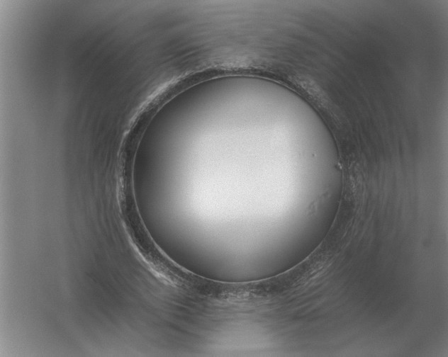 X0000054430728200508192123