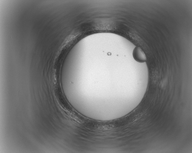 X0000054430731200508192123