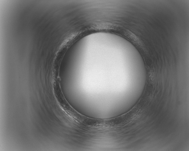 X0000054430732200508192123