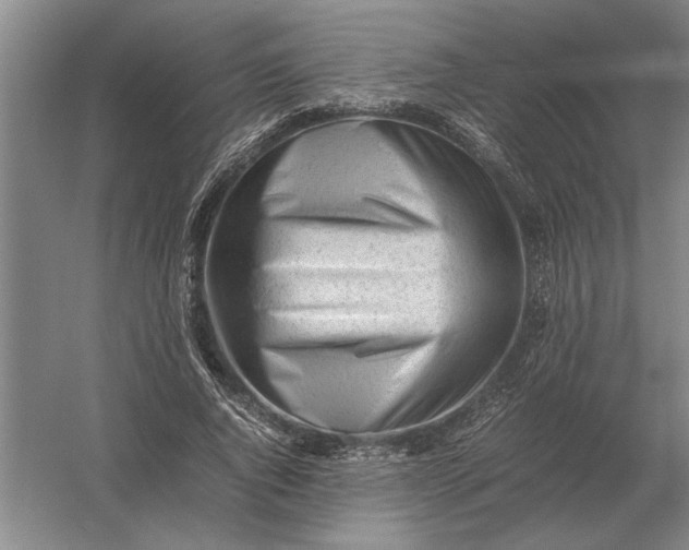 X0000054430736200508192123