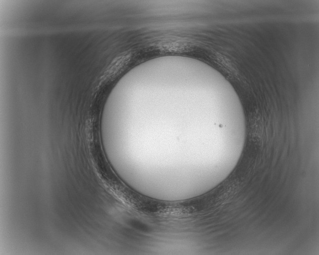 X0000054430738200508192123