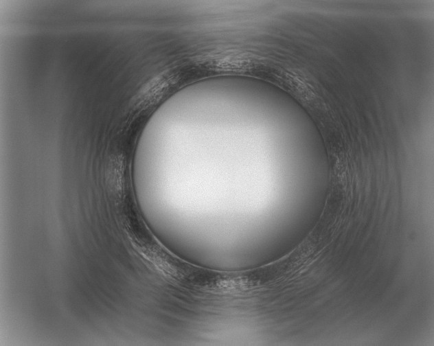 X0000054430744200508192123