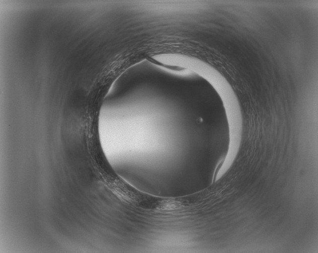 X0000054430750200508192123