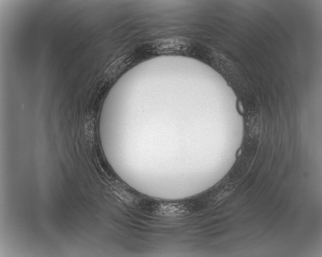 X0000054430753200508192123