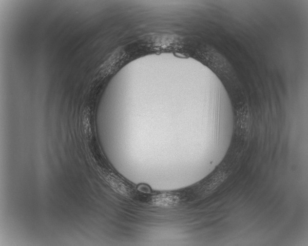 X0000054430754200508192123