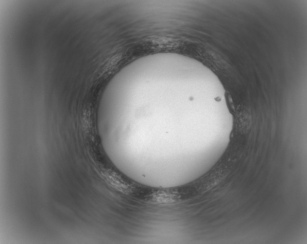 X0000054430756200508192123