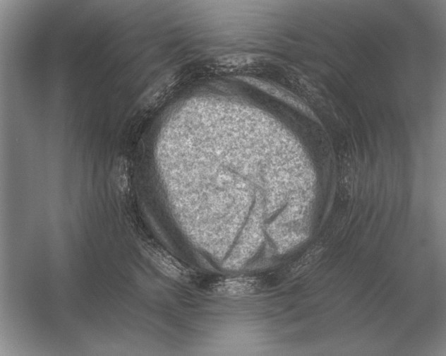 X0000054430758200508192123