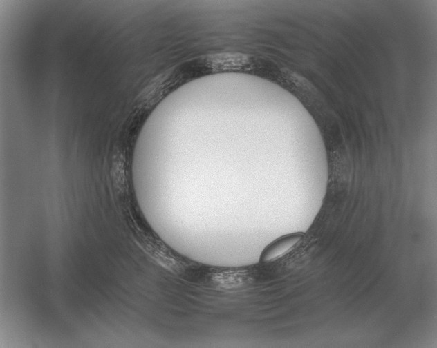 X0000054430761200508192123