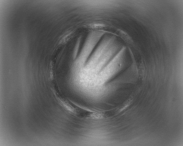 X0000054430762200508192123