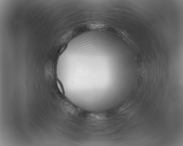 X0000054430763200508192123