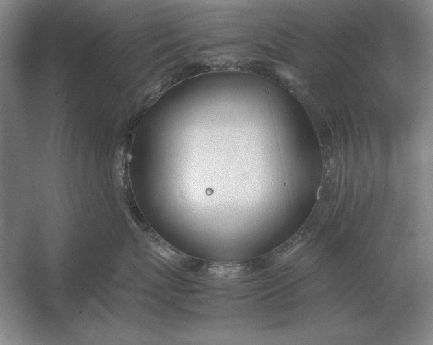 X0000054430767200508192123