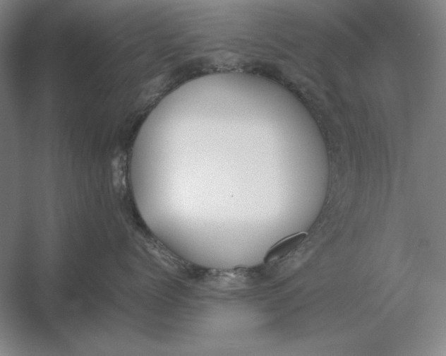 X0000054430768200508192123